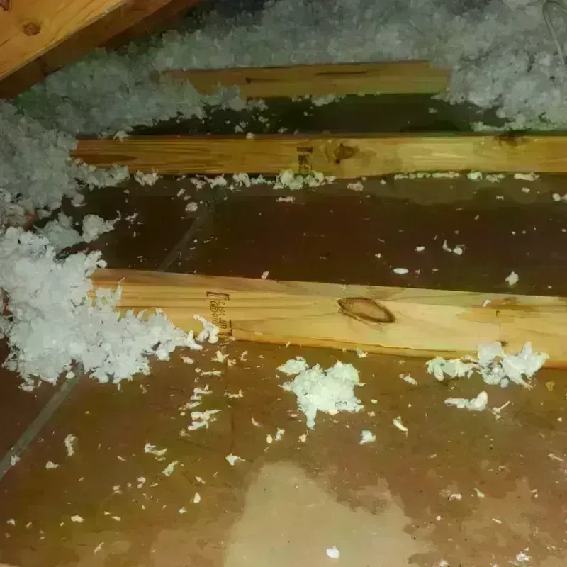 Attic Water Damage in Raeford, NC