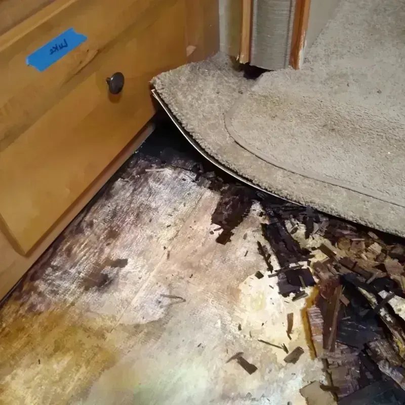 Wood Floor Water Damage in Raeford, NC